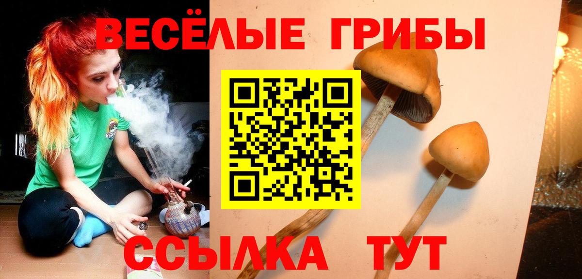Галлюциногенные грибы мухоморы  Вход с VPN  Белебей 