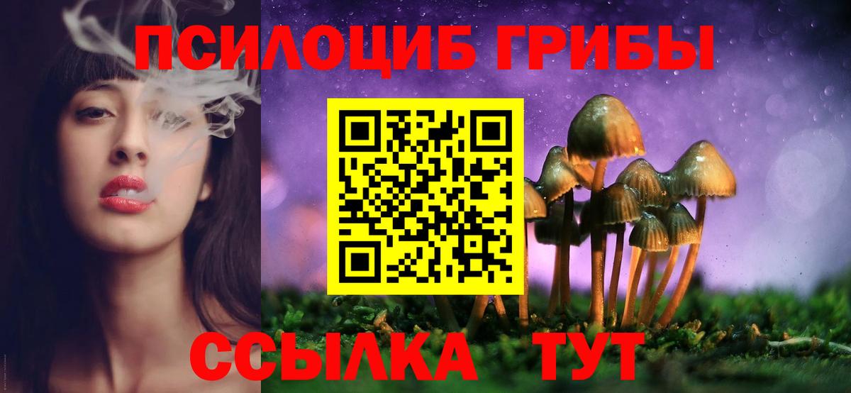 Галлюциногенные грибы прущие грибы Белебей